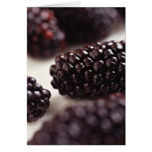 Blackberries Cards (Front)