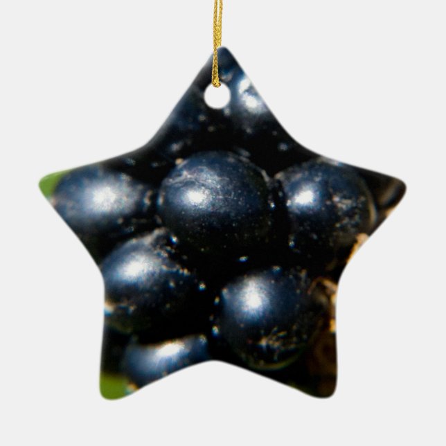 Blackberries Ceramic Ornament (Front)
