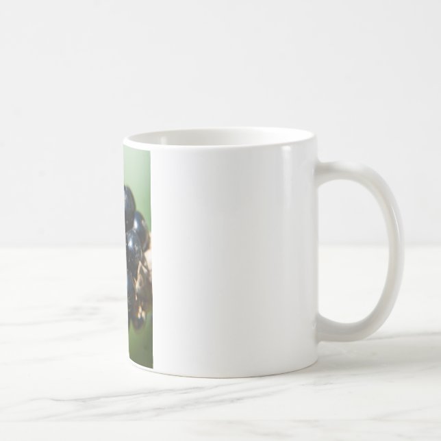 Blackberries Coffee Mug (Right)
