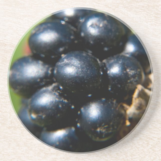 Blackberries Drink Coaster (Front)
