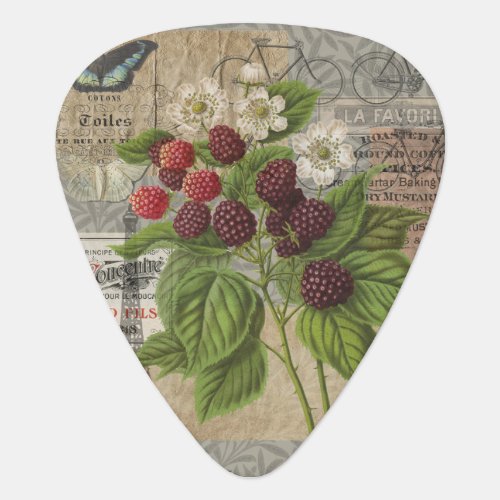 Blackberries Floral Garden Flower Butterfly Art Guitar Pick