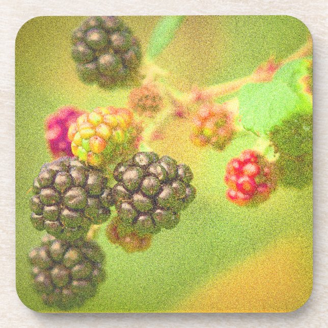 "Blackberries Fruit Plant" Cute Photo. Buy Now Beverage Coaster (Front)