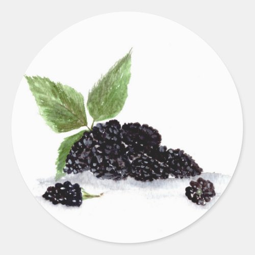 Blackberries fruits watercolor berries food classic round sticker