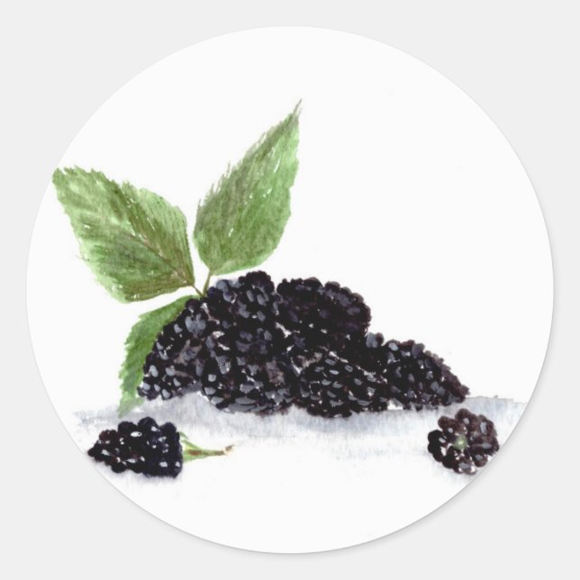 Blackberries fruits watercolor berries food classic round sticker (Front)