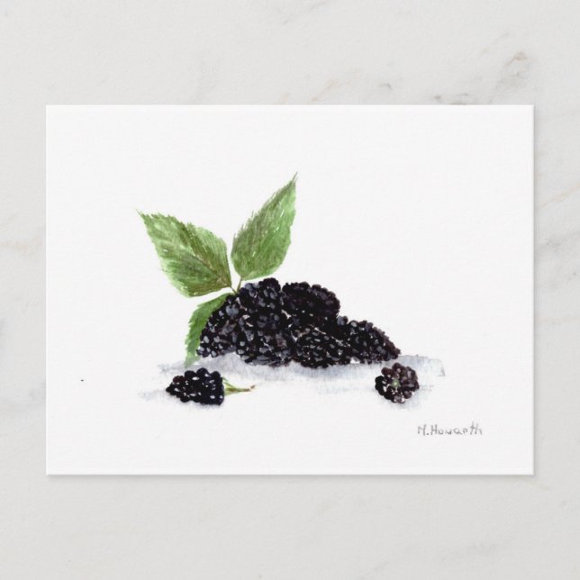 Blackberries fruits watercolour painting postcard (Front)