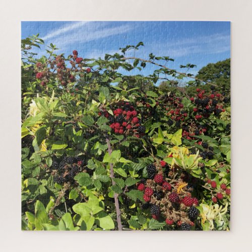 Blackberries  Honeysuckle in English Countryside Jigsaw Puzzle