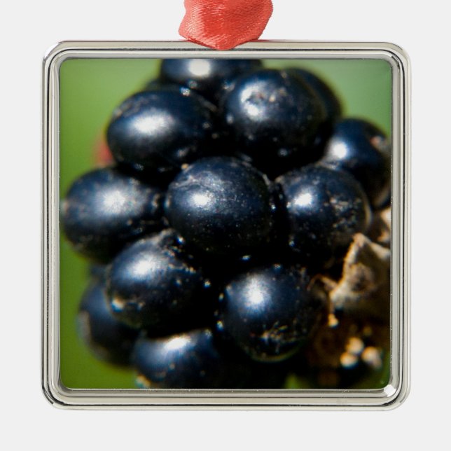Blackberries Metal Ornament (Front)