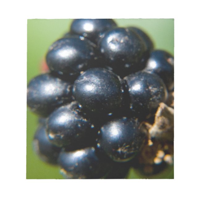 Blackberries Notepad (Front)