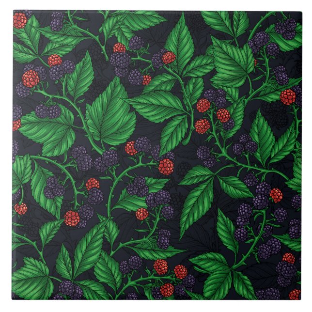 Blackberries on dark gray ceramic tile (Front)