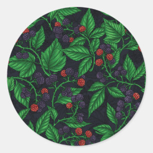 Blackberries on dark gray classic round sticker