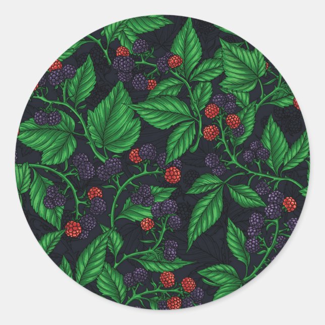 Blackberries on dark gray classic round sticker (Front)
