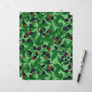 Blackberries on green