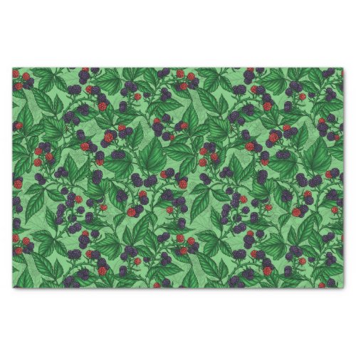 Blackberries on green tissue paper