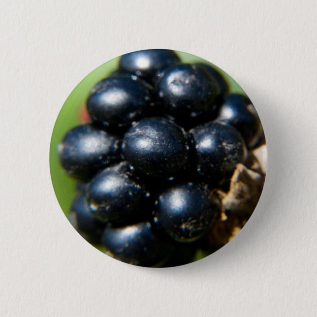 Blackberries Pinback Button (Front)