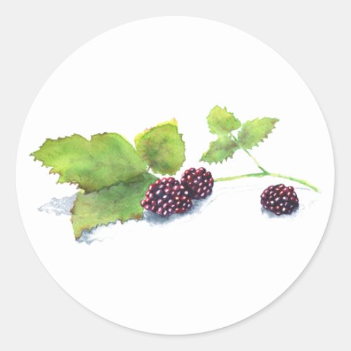 Blackberries Sticker