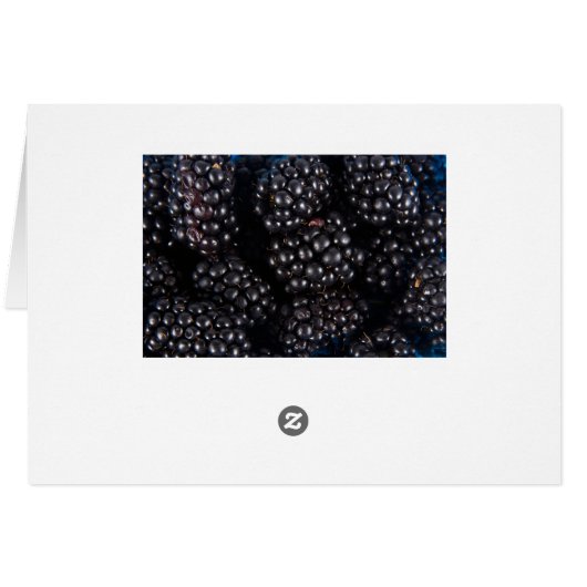 Blackberry (Back Horizontal)