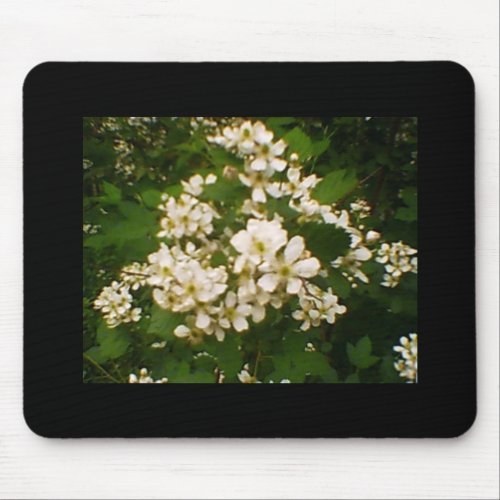 Blackberry Blossom Mouse Pad