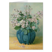 Blackberry Blossoms (Front)