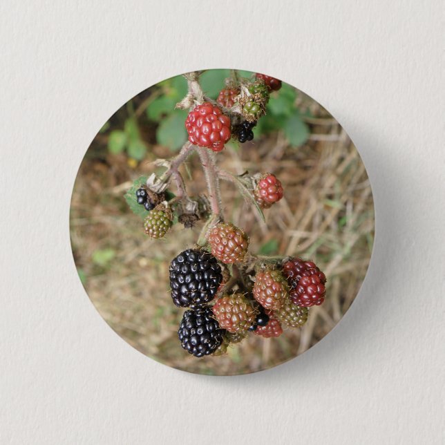 Blackberry Bonanza Button (Front)