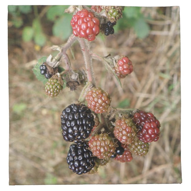 Blackberry Bonanza Napkin (Front)