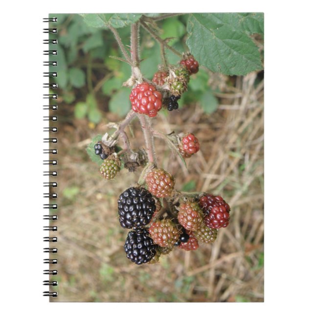 Blackberry Bonanza Notebook (Front)