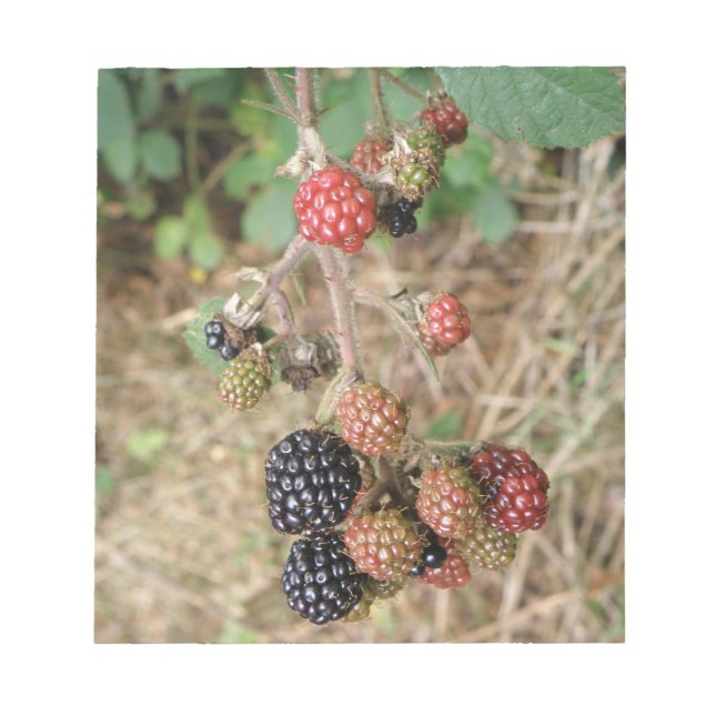Blackberry Bonanza Notepad (Front)