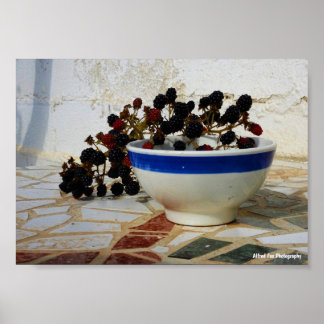 Blackberry Bowl on Mosaic Poster