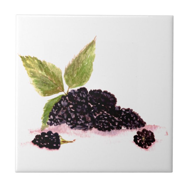Blackberry Bramble blackberries fruits watercolor  Ceramic Tile (Front)