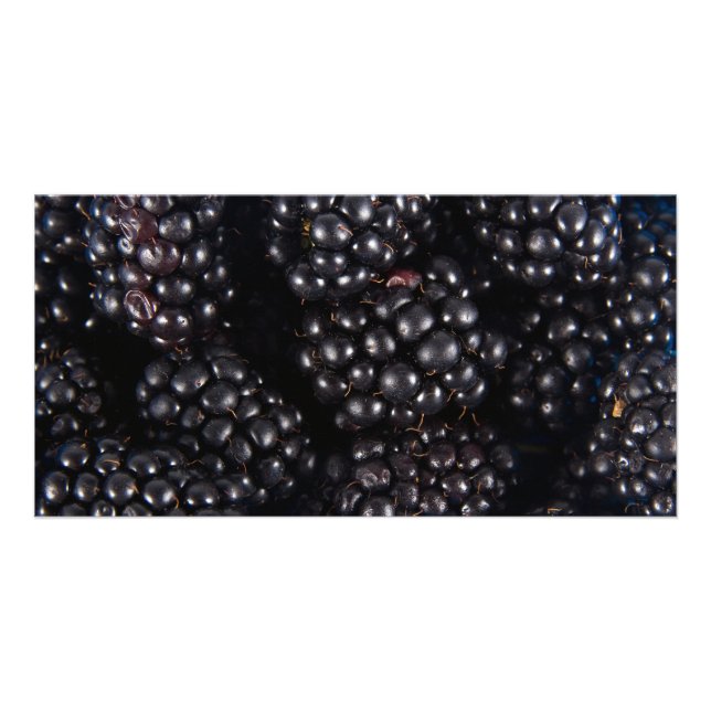 Blackberry Card (Front)