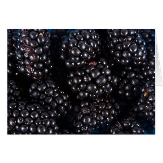 Blackberry Cards (Front Horizontal)