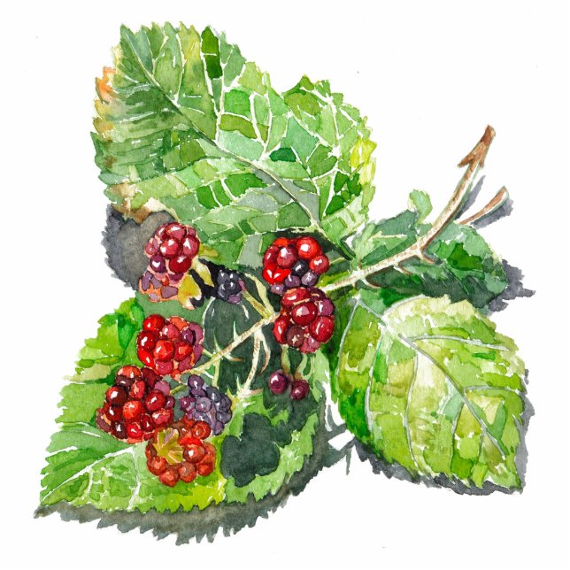 BlackBerry Cutout (Front)