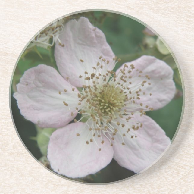 Blackberry Flower Macro Coasters (Front)