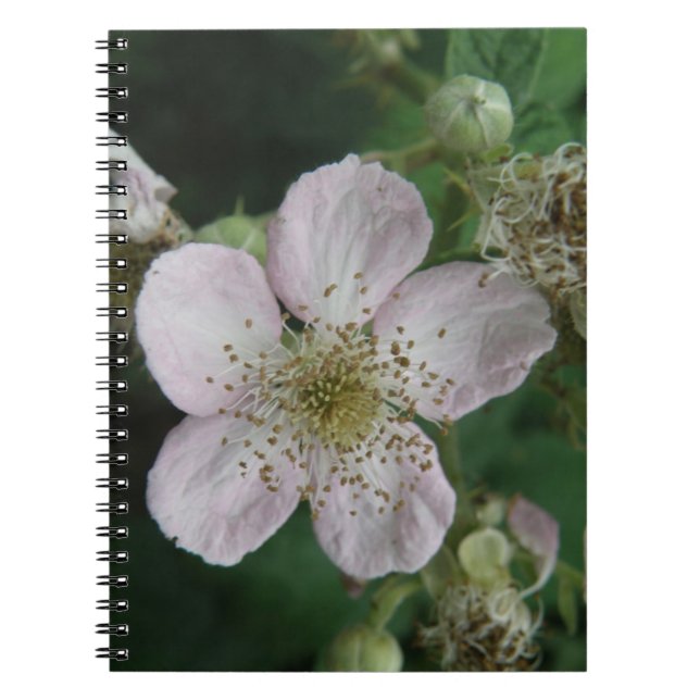 Blackberry Flower Macro Notebook (Front)