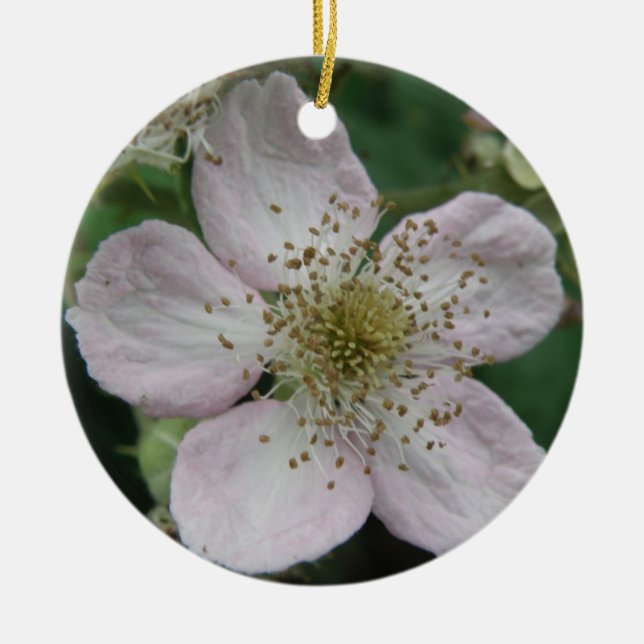Blackberry Flower Macro Ornaments (Front)