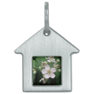 Blackberry Flowers Pet Tag