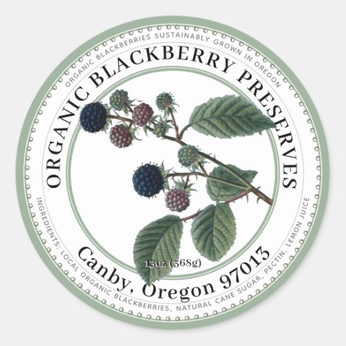 Blackberry Jam Vintage Blackberry Illustration Classic Round Sticker