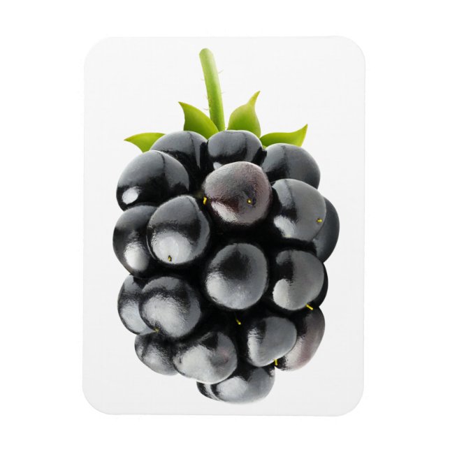 Blackberry Magnet (Vertical)