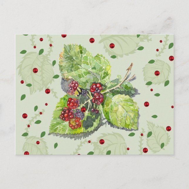 BlackBerry Postcard (Front)