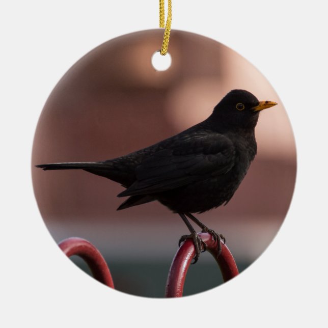 Blackbird Ceramic Ornament (Front)