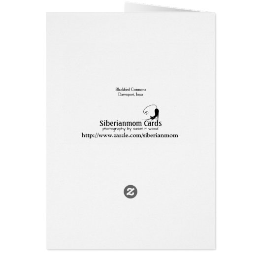 Blackbird Commons Blank Cards (Back)