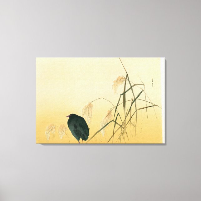 Blackbird, Edo Period Canvas Print (Front)
