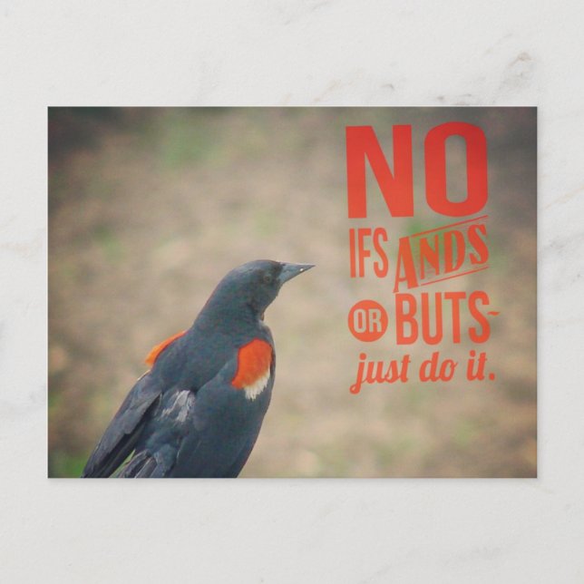 Blackbird Encouragement Postcard (Front)