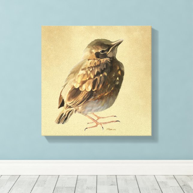 Blackbird Fledgling in Sun Canvas Print (Insitu(Wood Floor))