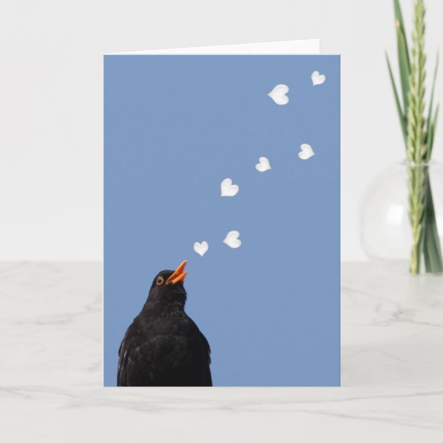Blackbird Love Song Card (Front)