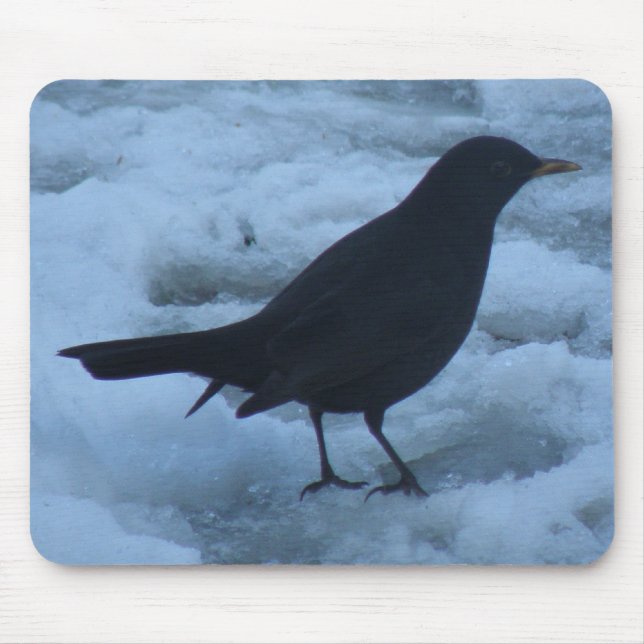 Blackbird on ice Mousepad (Front)