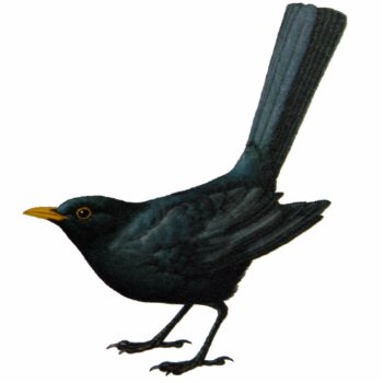 Blackbird Sculpture by Artworks at Zazzle