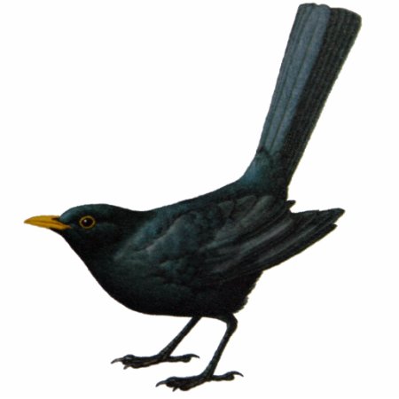 Blackbird Sculpture