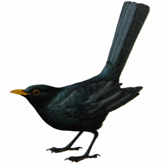 Blackbird Sculpture (Front)