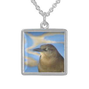 Blackbird Stare Photo with Blue Water Nature Sterling Silver Necklace