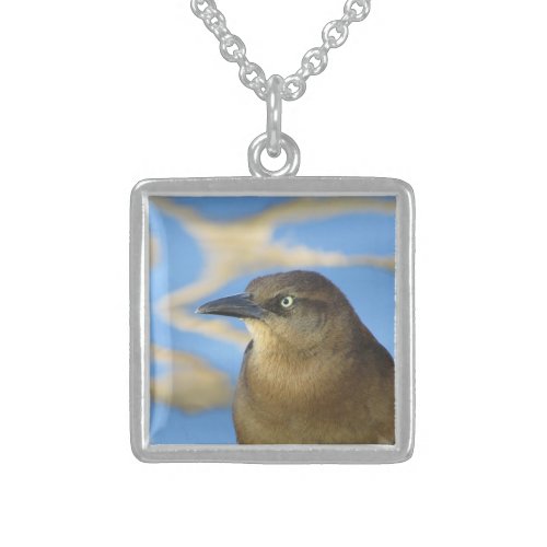 Blackbird Stare Photo with Blue Water Nature Sterling Silver Necklace
